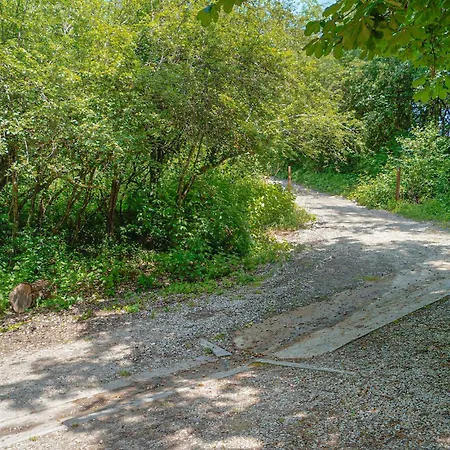 1 Bedroom Awesome In בית נופש *